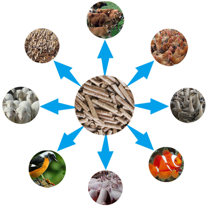 1466125040295929.jpg 1466125040295929.jpg