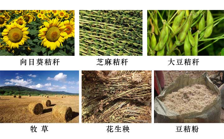 適合玉米秸稈壓塊機(jī)的原料都有哪些 適合玉米秸稈壓塊機(jī)的原料都有哪些