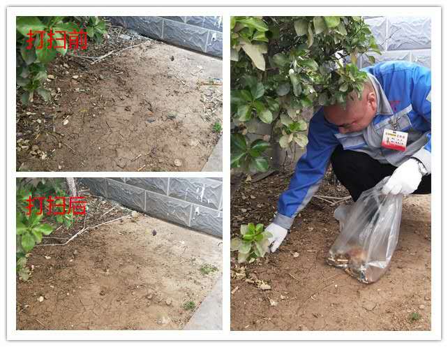 我的環境我做主 我的環境我做主