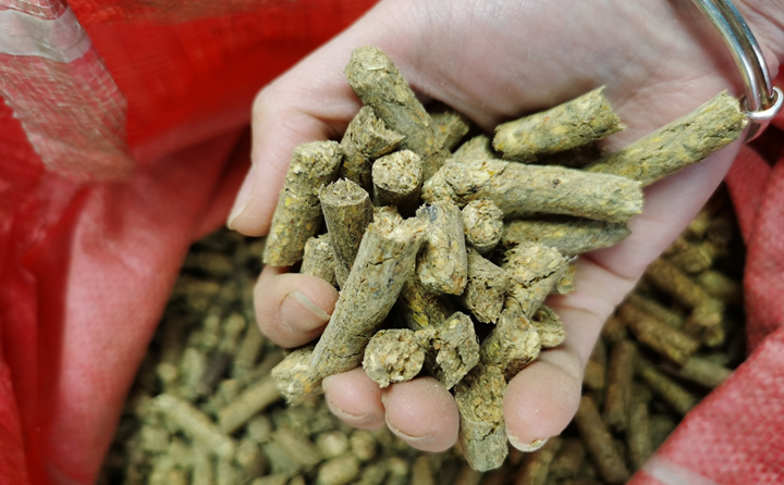 樹(shù)皮顆粒機(jī)顆粒燃料 樹(shù)皮顆粒機(jī)顆粒燃料