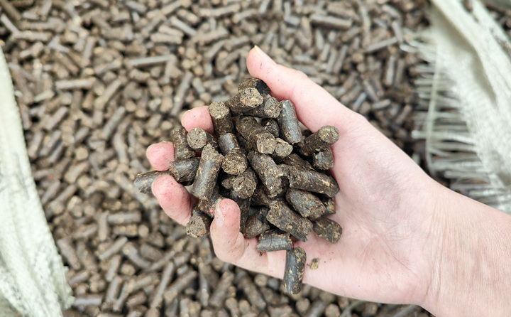 木屑顆粒機將秸稈變廢為寶,降碳節能一舉兩得 木屑顆粒機將秸稈變廢為寶,降碳節能一舉兩得