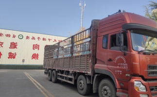 忙碌的五月，忙碌的發(fā)貨，金格瑞顆粒機生產(chǎn)線發(fā)往全國各地