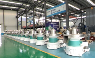 新手開顆粒廠，該選小型還是大型木屑顆粒機？